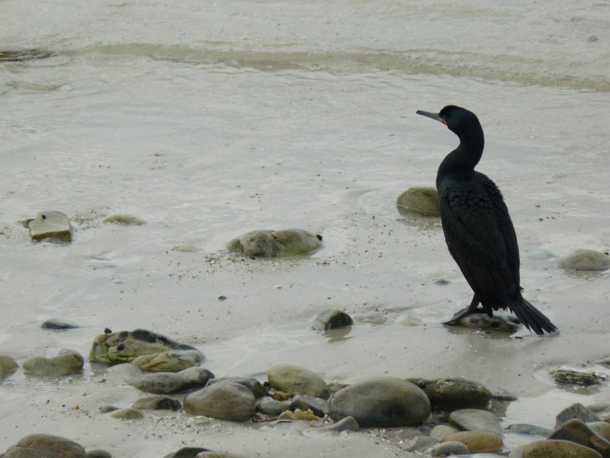 House Of 2 Oceans Leilighet Agulhas Eksteriør bilde