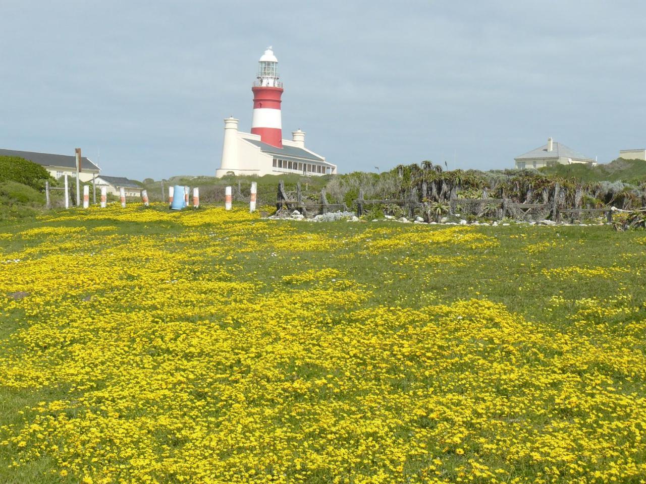 House Of 2 Oceans Leilighet Agulhas Eksteriør bilde